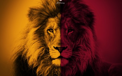 博鱼电竞-佩佩收藏豪车成瘾